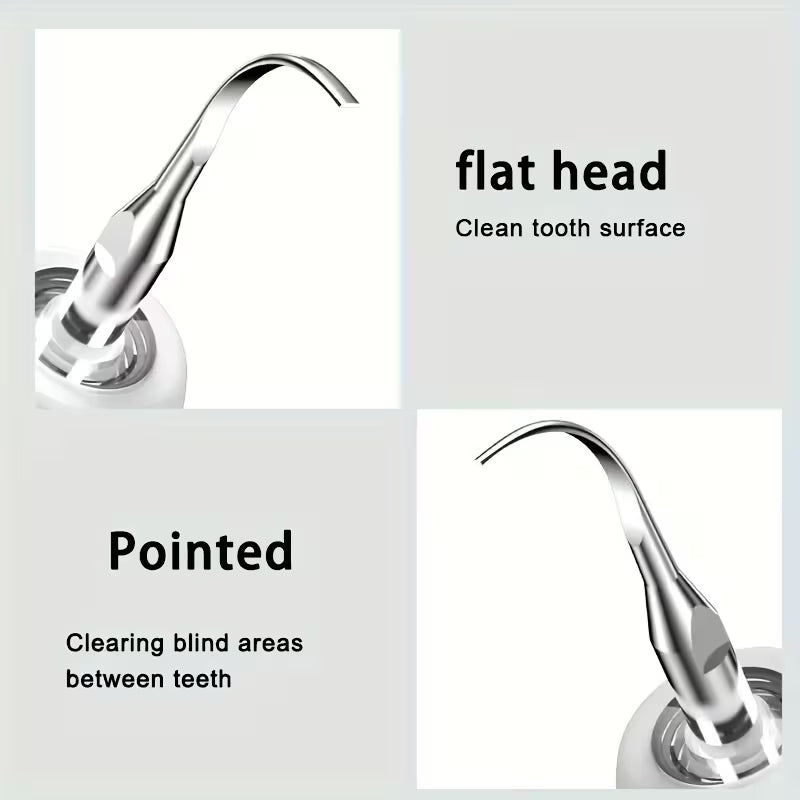 Rechargeable Dental Plaque Cleaner